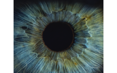 Drishti · The Yogic Gaze